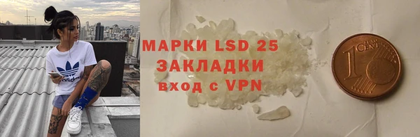 хмурый Алзамай