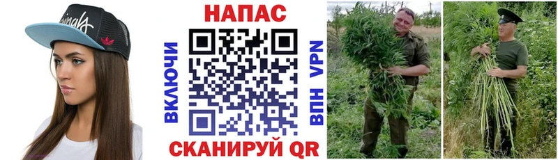 Шишки марихуана гибрид  Бокситогорск 